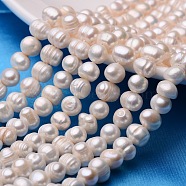 Potato Natural Cultured Freshwater Pearl Beads Strands, Old Lace, 8~9mm, Hole: 0.8mm, about 44~54pcs/strand, 13.5 inch~15.7 inch(PEAR-E007-8-9mm)