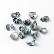 Natural Sea Shell Beads, Dyed, Midnight Blue, Size: about 12~22mm long, 10~22mm wide, 2~4mm thick, hole: 2mm, about 920pcs/500g(BSHE-S002-1)