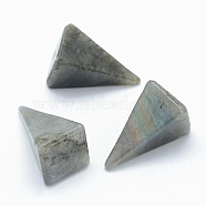 Natural Labradorite Beads, Cone, Undrilled/No Hole Beads, Triangle, 25~28x14x14.5mm(G-E490-D04)