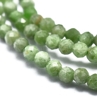 Natural Green Diopside Beads Strands(G-P438-C02-2mm)-3