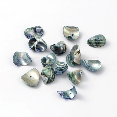 12mm MidnightBlue Others Spiral Shell Beads