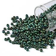 TOHO Round Seed Beads, Japanese Seed Beads, (710) Matte Color Aquarius, 8/0, 3mm, Hole: 1mm, about 222pcs/10g(X-SEED-TR08-0710)
