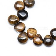 Natural Tiger Eye Gemstone Beads Strands, Top Drilled Beads, Teardrop, 12x9~10x5~6mm, Hole: 1mm, about 33pcs/strand, 9.84 inch(X-G-T005-04)