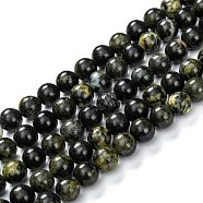 Natural Serpentine Beads Strands, Round, 8.5~9mm, Hole: 1mm, about 45pcs/strand, 14.96~15.04 inch(38~38.2cm)(G-F709-01)