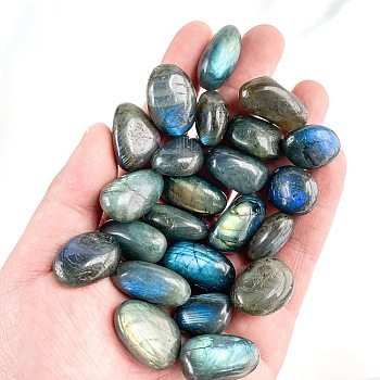 Natural Labradorite Healing Stones, Oval Stones, Pocket Palm Stones for Reiki Balancing, 15~20mm, 50g/set