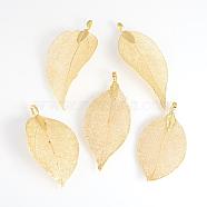 Electroplated Natural Leaf Big Pendants, with Iron Findings, Golden Plated, 50~80x20~35x1mm, Hole: 3x6mm(IFIN-Q119-03J)