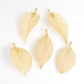 Electroplated Natural Leaf Big Pendants, with Iron Findings, Golden Plated, 50~80x20~35x1mm, Hole: 3x6mm