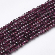 Natural Garnet Beads Strands, Faceted Rondelle, 2.6x2mm, Hole: 0.5mm, about 110pcs/strand, 15.7 inch(G-R362-06)