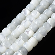 Natural Trochid Shell/Trochus Shell Beads Strands, Column, Bleach, Seashell Color, 4x3mm, Hole: 0.8mm, about 138~140pcs/strand, 15.94 inch(40cm)(SSHEL-S266-018A-01)