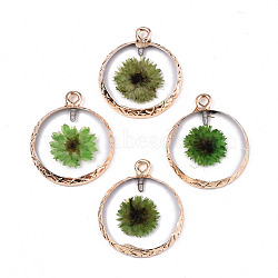 Transparent Clear Epoxy Resin & Dried Flower Pendants, with Edge Light Gold Plated Iron Loops, Flat Round, Lime Green, 24x20x2.5mm, Hole: 1.8mm(RESI-S383-076B-A03)