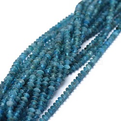 Natural Apatite Beads Strands, Faceted, Rondelle, 2.5~3.5x1.5mm, Hole: 0.6mm, about 90pcs/strand, 15.35(39cm)(G-I249-D03-02)