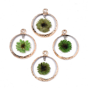 Transparent Clear Epoxy Resin & Dried Flower Pendants, with Edge Light Gold Plated Iron Loops, Flat Round, Lime Green, 24x20x2.5mm, Hole: 1.8mm