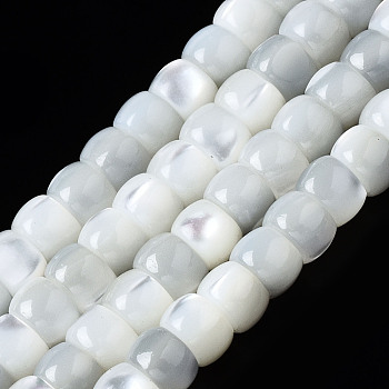 Natural Trochid Shell/Trochus Shell Beads Strands, Column, Bleach, Seashell Color, 4x3mm, Hole: 0.8mm, about 138~140pcs/strand, 15.94 inch(40cm)