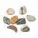 Natural Polychrome Jasper/Picasso Stone/Picasso Jasper Pendants(G-B030-24)-1