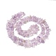 Natural Amethyst Chip Bead Strands(G-M205-35-1)-3