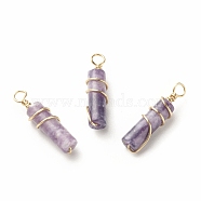 Natural Lilac Jade Pendants, with Light Gold Tone Eco-Friendly Copper Wire Wrapped, Column, 20~21x5~5.5mm, Hole: 2.3~2.8mm(PALLOY-JF01453-09)