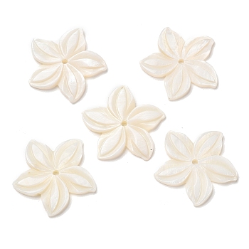 Natural Freshwater Shell Beads, Flower, 27x28x2.5mm, Hole: 1.8mm