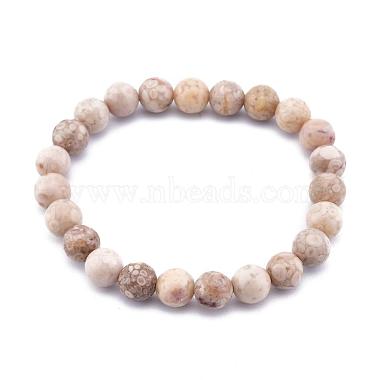 Natural Maifanite/Maifan Stone Bead Stretch Bracelets(BJEW-K212-B-044)-2