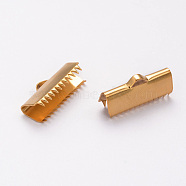 Ion Plating(IP) 304 Stainless Steel Ribbon Crimp Ends, Golden, 9x20mm, Hole: 1.5mm(STAS-F098-05)