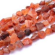 Raw Rough Natural Carnelian Beads Strands, Dyed & Heated, Nuggets, 6~12x6~10x5~8mm, Hole: 0.7mm, about 48pcs/strand, 15.75 inch(40cm)(G-I279-B01)