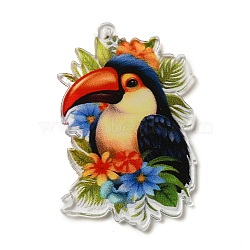 Acrylic Pendants, Animals, Toucan, 44x29x1.7mm, Hole: 1.6mm(OACR-O007-02E)