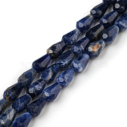 Natural Sodalite Beads Strands, Faceted, Teardrop, 5.5~8.3x4.1~4.35mm, Hole: 0.5mm, about 30pcs/strand, 7.48 inch(19cm)(G-C080-B05-01A)