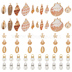 Alloy & Natural Sea Shell & Shell & ABS Imitation Pearl Pendants, Mixed Color, 13x10x2.5mm, Hole: 1.8mm(FIND-WR0012-70)