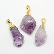 Natural Raw Rough Gemstone Amethyst Pendants, with Golden Plated Brass Findings, Irregular Nuggets 20~38x13~22x12~27mm, Hole: 8x4mm(G-M040-M05)