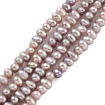 Natural Cultured Freshwater Pearl Beads Strands, Potato, Rosy Brown, 2.8~3.2mm, Hole: 0.5mm, about 70pcs/strand, 7.68 inch(19.5cm)