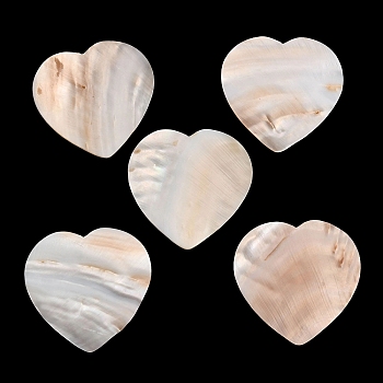 Natural Freshwater Shell Cabochons, Heart, Seashell Color, 49.5~50x50x1.5~2.5mm