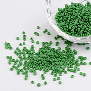 12/0 Opaque Colours Round Glass Seed Beads, Pale Green, Size: about 2mm in diameter, hole:1mm, about 3303pcs/50g(X-SEED-A010-2mm-47)