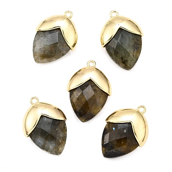 Natural Labradorite Pendants, with Golden Brass Finding, Straberry Shape Charms, Faceted, 25x17.5x7mm, Hole: 1.6mm