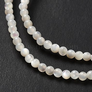Natural White Shell Beads Strands(SHEL-G014-14)-4