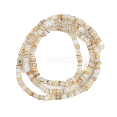 Natural Freshwater Shell Beads Strands(BSHE-H109-13A)-3