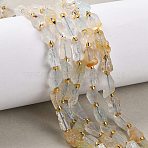Raw Rough Natural White Topaz Beads Strands, Nuggets, with Seed Beads, 5~18x5~12x4~8mm, Hole: 1mm, about 30~45pcs/strand, 15.55''(39.5cm)~15.94''(40.5cm)(G-D101-A15)