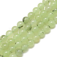 Natural Prehnite Beads Strands, Dyed, Round, 6mm, Hole: 1mm, about 61~62pcs/strand, 14.9~15.2 inch(X-G-S300-118-6mm)