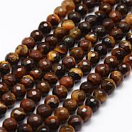 Faceted Natural Tiger Eye Beads Strands, Round, 6mm, Hole: 1mm, about 60pcs/strand, 14.7 inch(G-F364-04-6mm)