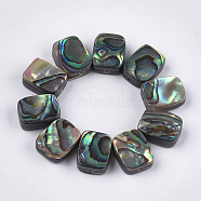 Abalone Shell/Paua Shell Beads, Rectangle, Colorful, 10x8x3.5~4mm, Hole: 1mm(SSHEL-T008-05)