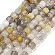 Natural Botswana Agate Beads Strands, Faceted, Cube, 3.5~4.5x3.5~4x3.5mm, Hole: 0.6mm, about 103~106pcs/strand, 15.55'~15.75''(39.5~40cm)(G-H042-A07-02)