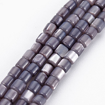Natural Trochid Shell/Trochus Shell Bead Strands, Dyed, Column, Dark Slate Blue, 3x3mm, Hole: 0.8mm, about 76~77pcs/strand, 10.04 inch~10.24 inch(25.5~26cm)