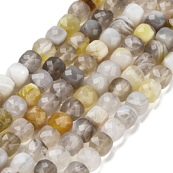 Natural Botswana Agate Beads Strands, Faceted, Cube, 3.5~4.5x3.5~4x3.5mm, Hole: 0.6mm, about 103~106pcs/strand, 15.55'~15.75''(39.5~40cm)