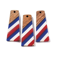 Independence Day Opaque Striped Resin & Walnut Wood Pendants, Geometric Charms, Trapezoid, 38x15x3.5mm, Hole: 2mm(RESI-U010-02A)