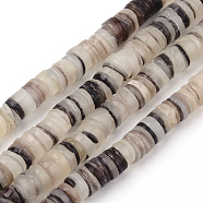 Black Lip Shell Beads Strands, Natural Color, Disc, 4~5x0.5~5mm, Hole: 1mm, about 185pcs/strand, 23.62 inch(SSHEL-Q300-008)