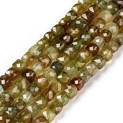 Natural Green Garnet Beads Strands, Faceted, Cube, 4x4x4mm, Hole: 0.8mm, about 98pcs/strand, 15.55 inch(39.5cm)(G-C009-B02)