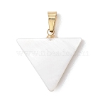 Natural Freshwater Shell Pendants, Geometric Charms with 304 Stainless Steel Snap on Bails, Golden, White, Triangle, 21x22x3mm, Hole: 5.5x3mm(PALLOY-JF05137-01)