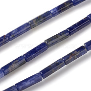 Natural Sodalite Beads Strands, Column, 13~14x4mm, Hole: 1mm, about 30pcs/strand, 15.9 inch(40.5cm)(X-G-F247-30)