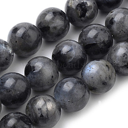 Natural Larvikite/Black Labradorite Beads Strands, Round, 10mm, Hole: 1mm, about 37pcs/strand, 15 inch(X-G-S259-06-10mm)