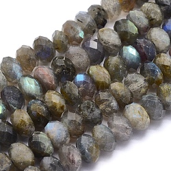 Natural Labradorite Beads Strands, Rondelle, Faceted, 9~10x6mm, Hole: 1mm, about 64pcs/strand, 15.7 inch(40cm)(G-O170-59E)
