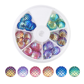 Resin Cabochons, Flat Round with Mermaid Fish Scale, Mixed Color, 12x3.5mm, 36pcs/box