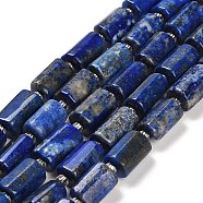 Natural Lapis Lazuli Beads Strands, with Seed Beads, Faceted Column, 9~11x6~7.5x6~7.5mm, Hole: 1.2mm, about 30pcs/strand, 15.16~15.55 inch(38.5~39.5cm)(G-G068-A13-01)